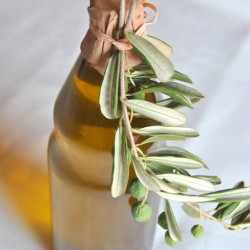 Homemade Olive Oil