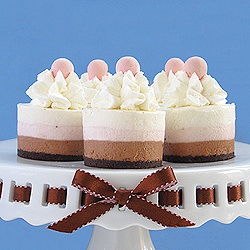 Neopolitan Mini Cheesecakes