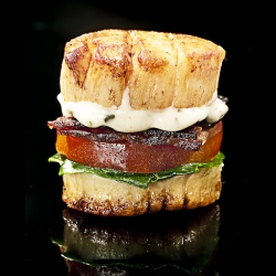 Scallop BLT