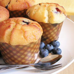 Blueberry Lemon Muffins