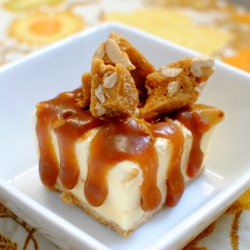 Peanut Brittle Ice Cream Pie