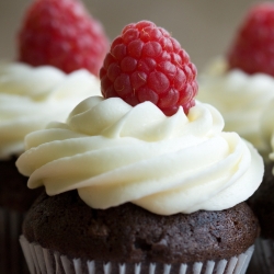 Double Chocolate Cupcakes