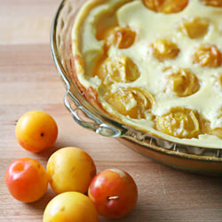 Yellow Plum Clafoutis