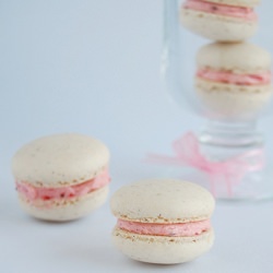 Vanilla Bean Macarons