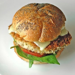 Italian Chicken Burgers