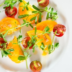 Tomato and Purslane Salad