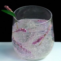 Lavender Vodka Tonic