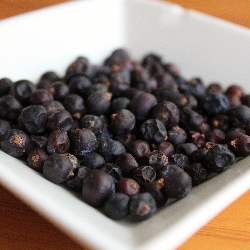 Juniper Berries