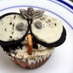 Owl Cupcake