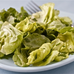 Butter Lettuce & Mustard Dressing