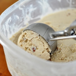 Panforte Ice Cream and Gingersnaps