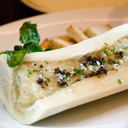 Bone Marrow