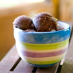 Vegan Chocolate Ice Cream