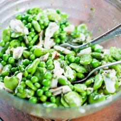 Salt Cod & Fava Bean Salad