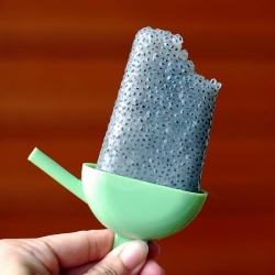 Basil Seed Popsicle