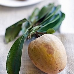 Sapodilla – Sawo