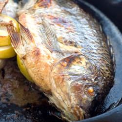 Whole Broiled Tilapia