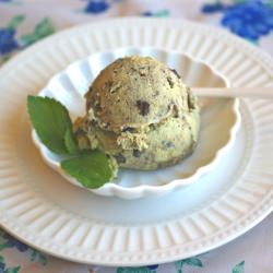 Mint Chip Ice Cream for Anyone