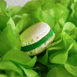 Tropical Themed Macarons