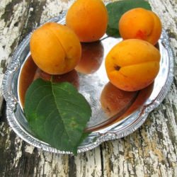 Apricot Cake with Marzipans