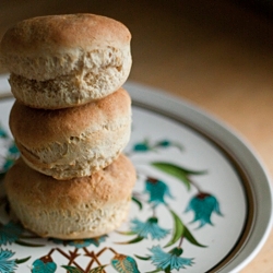 Olive Oil Biscuits