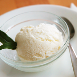 Coconut Ice Cream