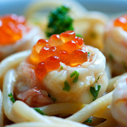 Shrimp in Cream Sauce