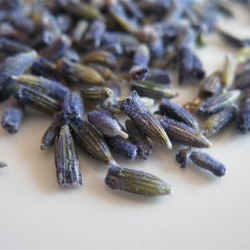 Dried Lavender