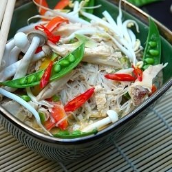 Coconut Chicken and Noodle Broth