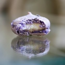 Lavender & Vanilla Bean Macaron