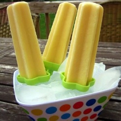 Frozen Yogurt Creamsicles