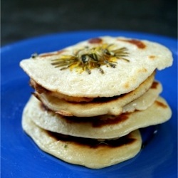 Dandelion Fritters