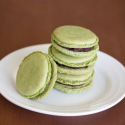 Matcha Macarons