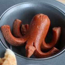 Octodog