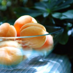 Fresh Summer Apricots