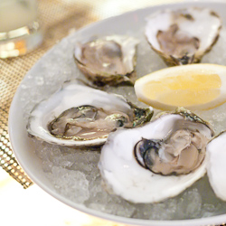 Rialto Oysters