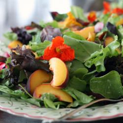 Flower Salad