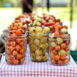 Farmer’s Market Tomatoes