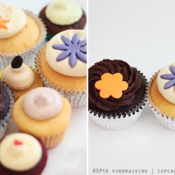 Cupcakes For A Good Cause