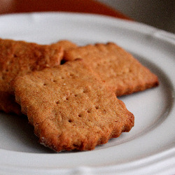 Homemade Graham Crackers