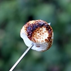 Campfire Roasted Marshmallow