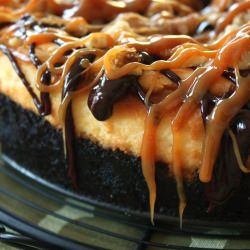 Turtle Topped Cheesecake