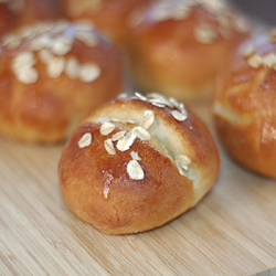 Honey Oat Dinner Rolls