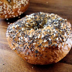 Bagels