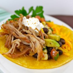 Shredded Pork Carnitas