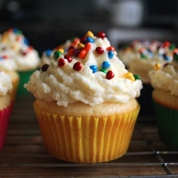 Vanilla Cupcakes