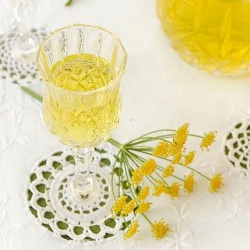 Fennel Liqueur