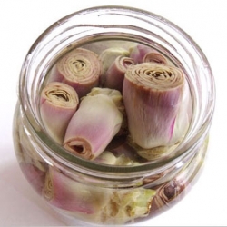 Preserved Artichoke