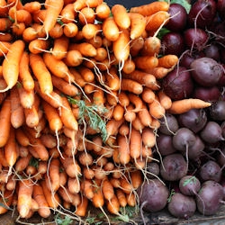 Carrots and Beets