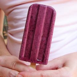 Blueberry Yogurt Popsicles